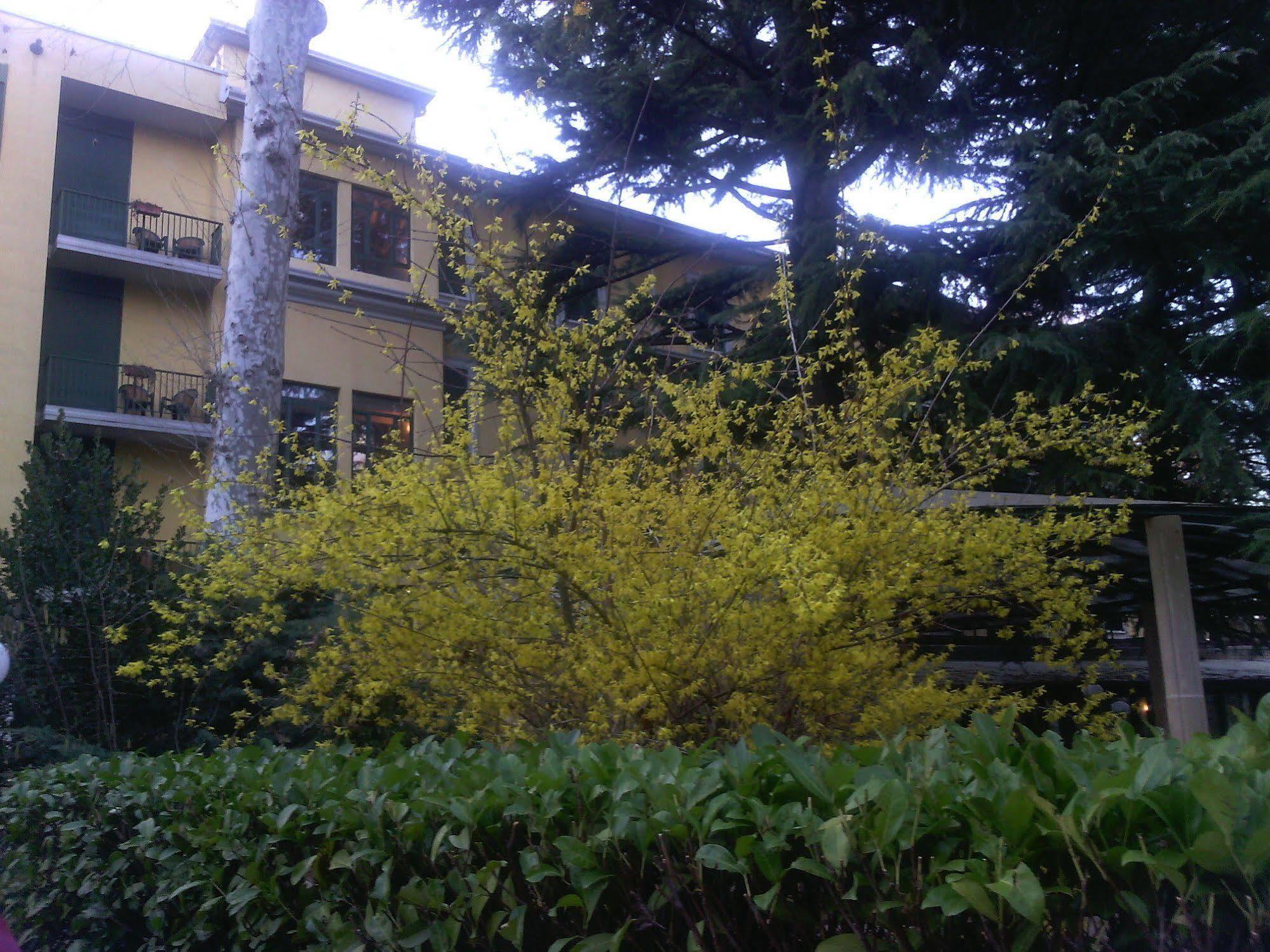 Hotel Salus Salice Terme Buitenkant foto